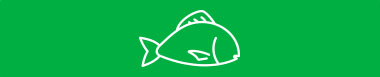 pescado
