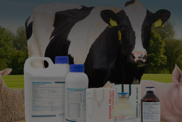 bg-salud-animal-1
